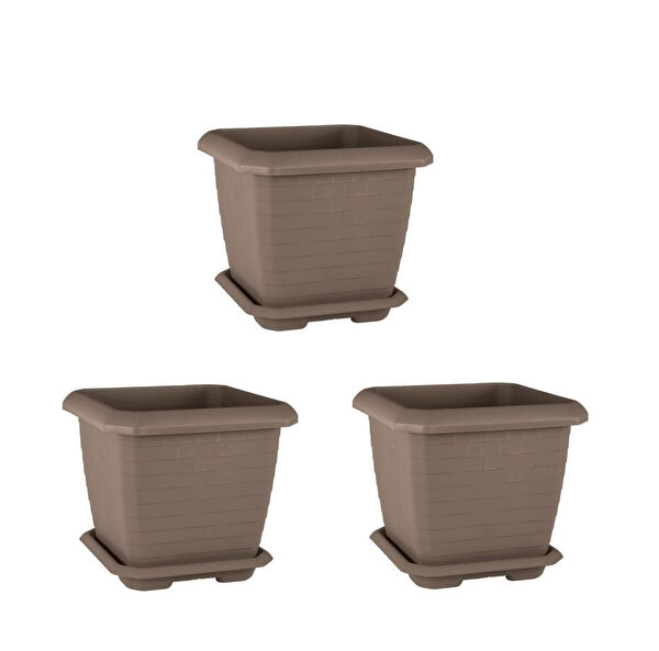 Omnipazar Vazo, Saksı