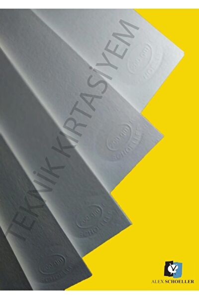 Alex Schoeller Resim Defteri, Kağıtları