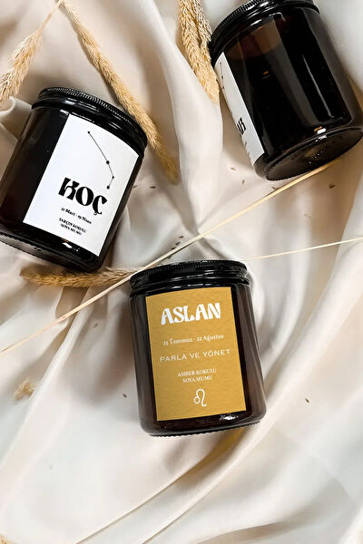 Bliss Beam Decoration Mum