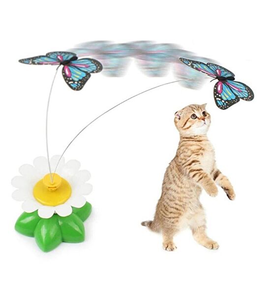 AquaHome Kedi Oyuncakları