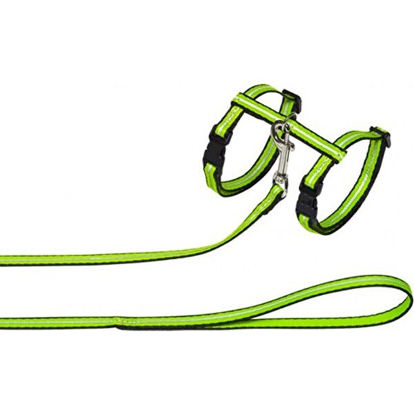 AquaHome Kedi Tasmaları ve İsimlikler