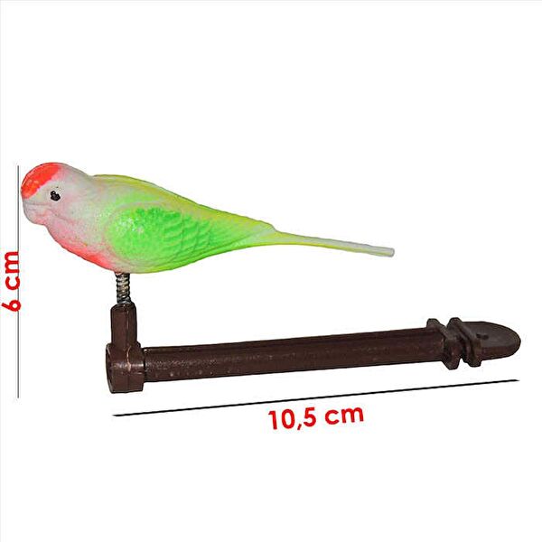 AquaHome Kuş Oyuncakları