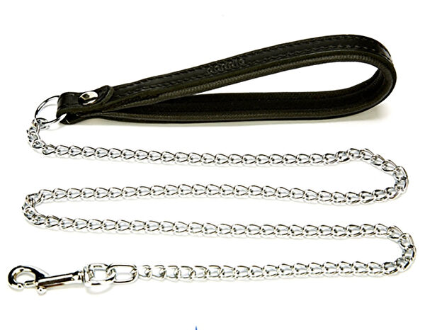 AquaHome Köpek Tasmaları