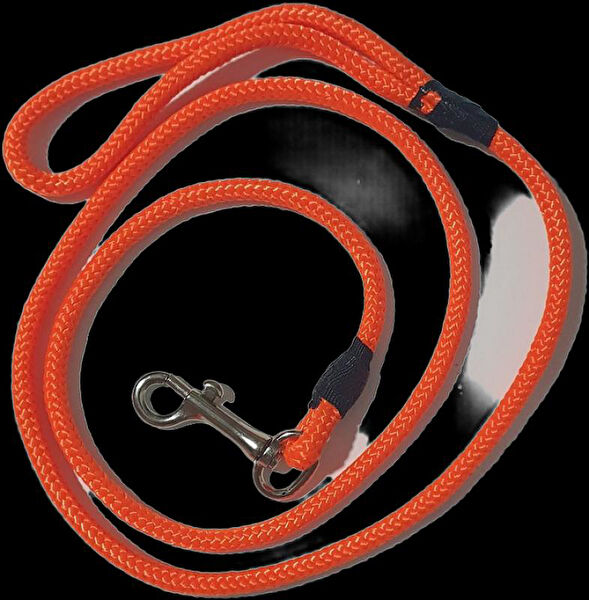 AquaHome Köpek Tasmaları