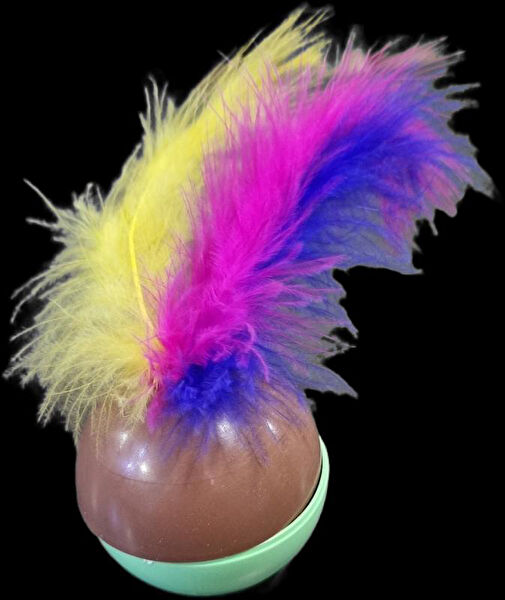 AquaHome Kedi Oyuncakları