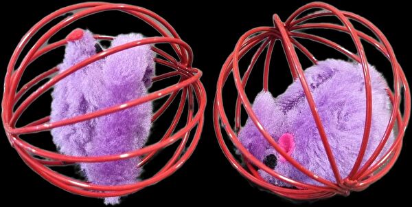 AquaHome Kedi Oyuncakları