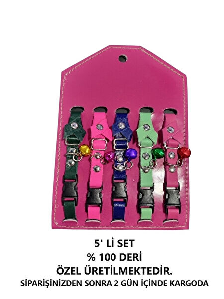 AquaHome Kedi Tasmaları ve İsimlikler