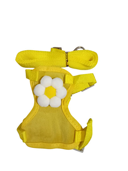 AquaHome Kedi Tasmaları ve İsimlikler