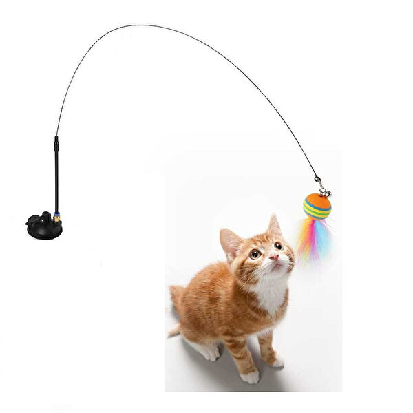 AquaHome Kedi Oyuncakları