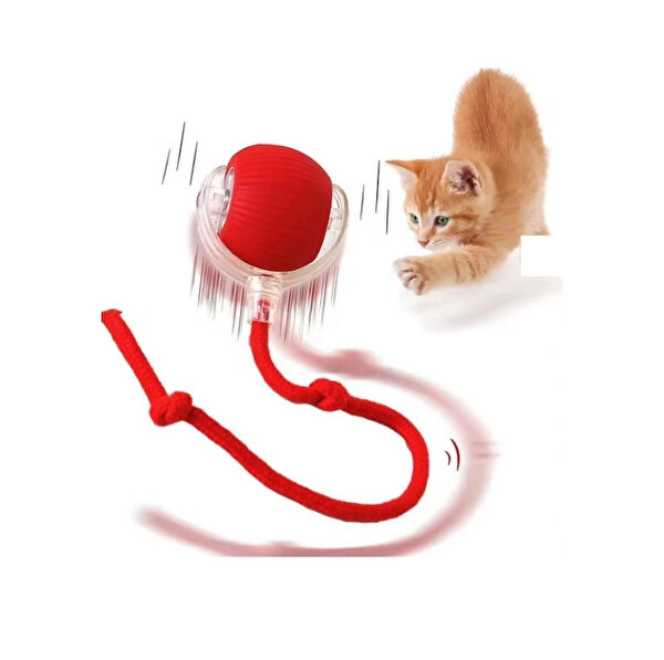 AquaHome Kedi Oyuncakları