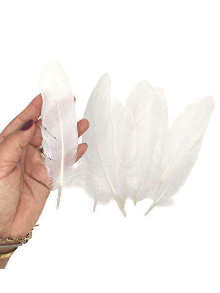 Limmy El İşi Kağıdı, Fon Kartonu