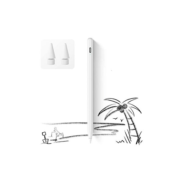 Ayder Timya Tablet Kalemleri