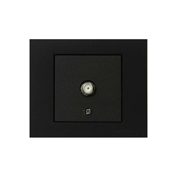 Ayder Timya Uydu Prizi