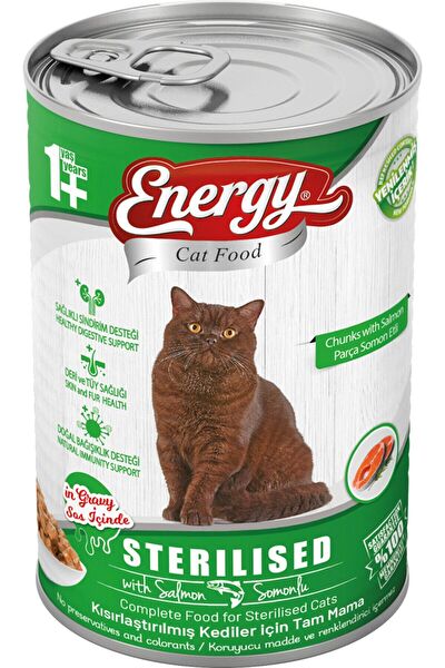 Energy Kedi Maması
