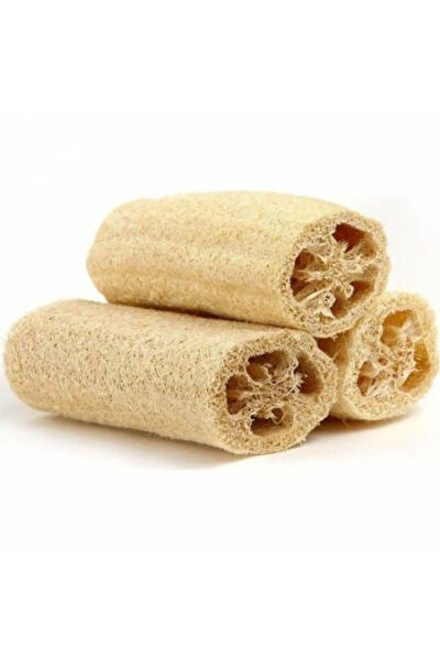 Serdar Çam Tohumculuk Tohum