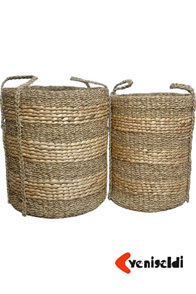 yenigeldi Sepet, Kutu