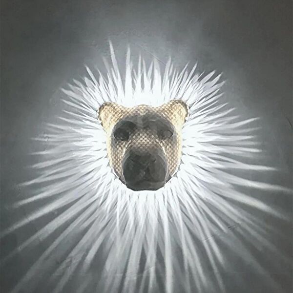 3dtasarimmarket Duvar Süsleri