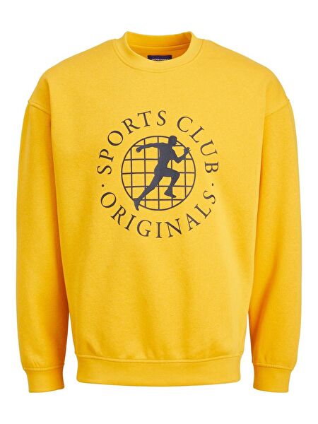 Jack & Jones Erkek Sweatshirt