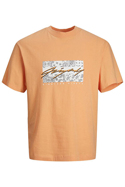 Jack & Jones Erkek Tişört