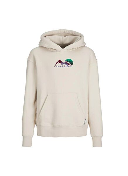 Jack & Jones Erkek Çocuk Sweatshirt