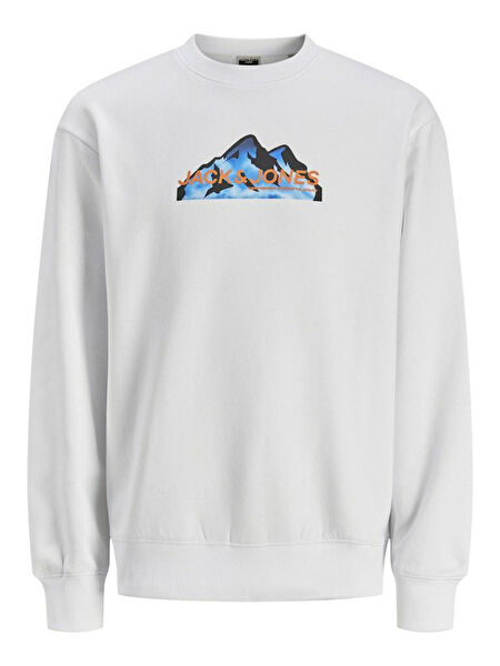 Jack & Jones Erkek Sweatshirt