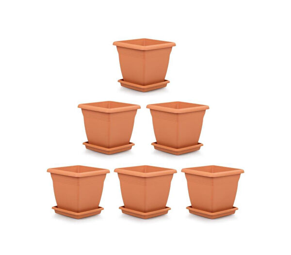 Omnipazar Vazo, Saksı