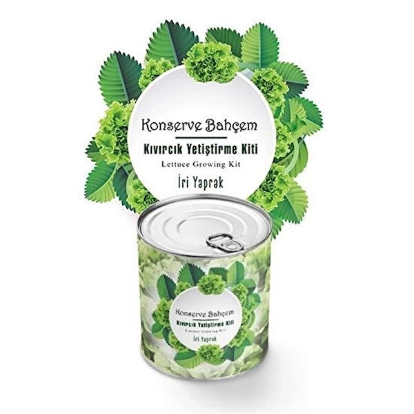 İpek Yıldızı Bitki Yetiştirme Kiti