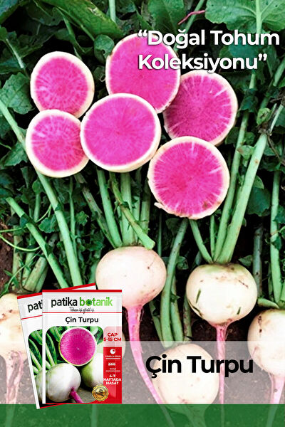 Patika Botanik Tohum