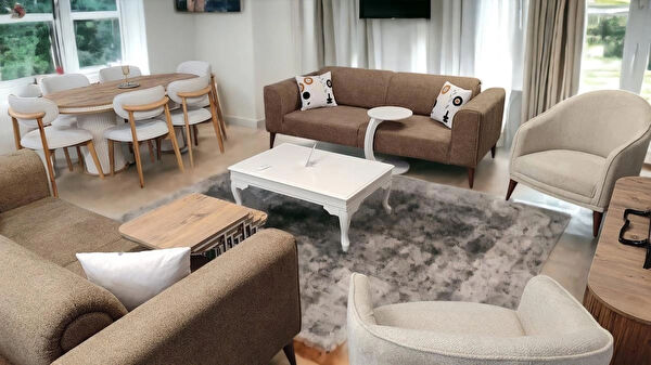 Titiz koltuk Koltuk Takımı