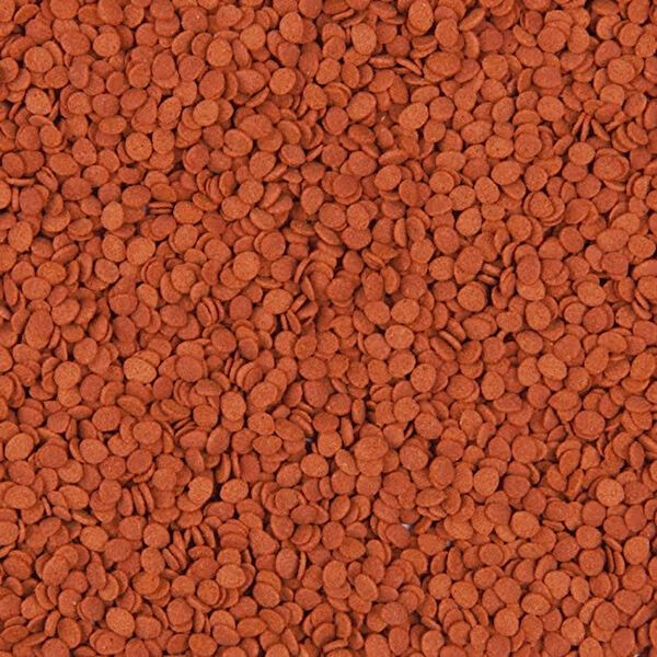 Tropical Balık Yemi