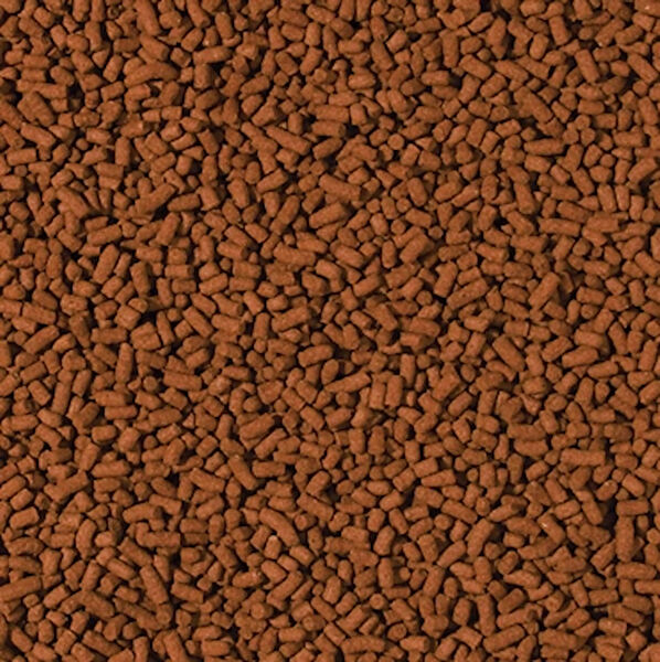 Tropical Balık Yemi