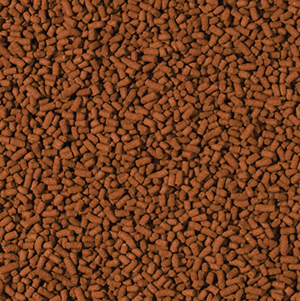 Tropical Balık Yemi