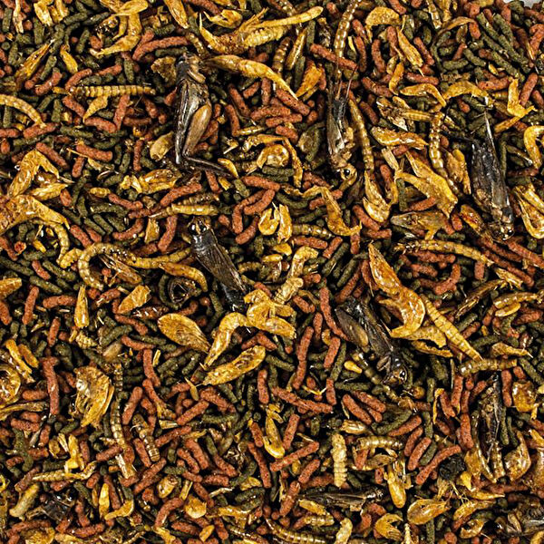 Tropical Balık Yemi