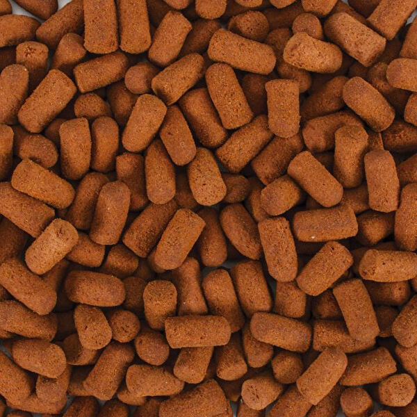 Tropical Balık Yemi