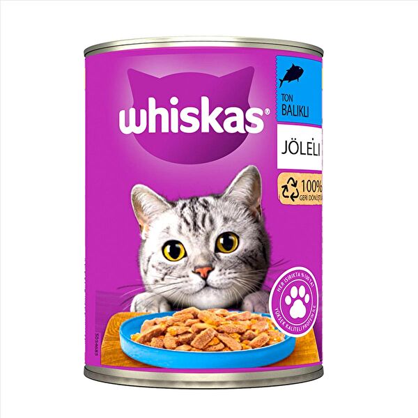 Whiskas Kedi Maması