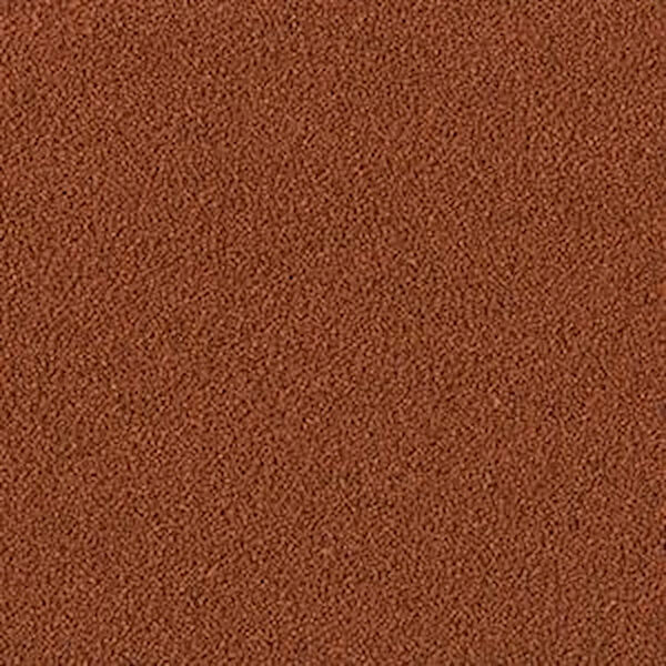 Tropical Balık Yemi