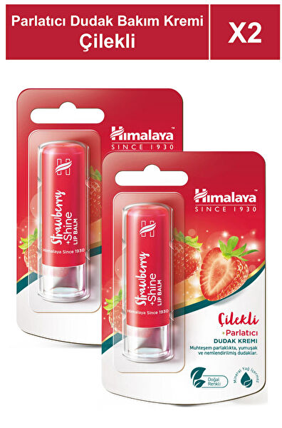 Himalaya Dudak Bakımı