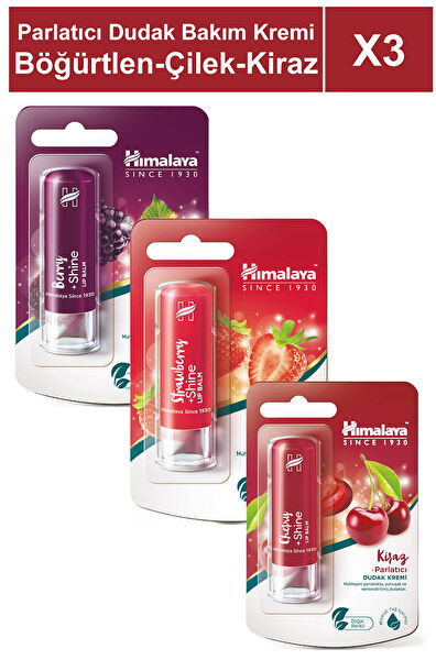 Himalaya Dudak Bakımı