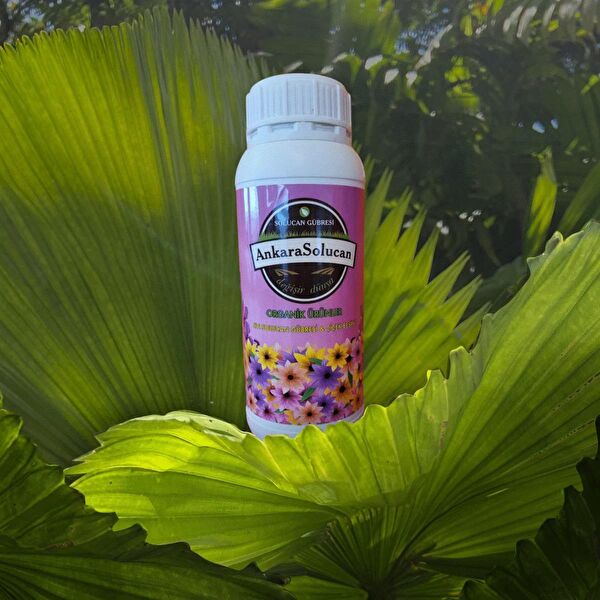 Ankara Solucan Gübre