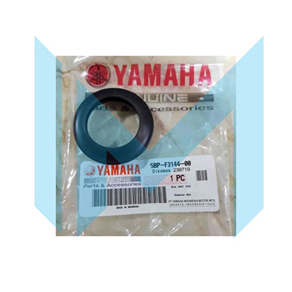 Hsb Krank, Piston ve Contalar