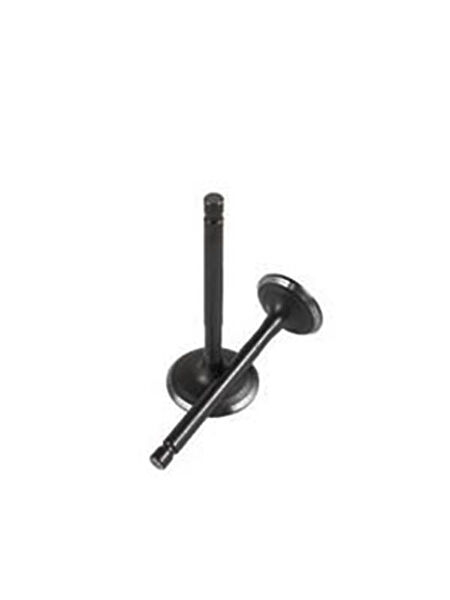 Motobisavm Krank, Piston ve Contalar