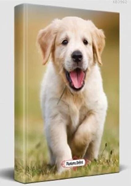 Halk Kitabevi Defter, Ajanda