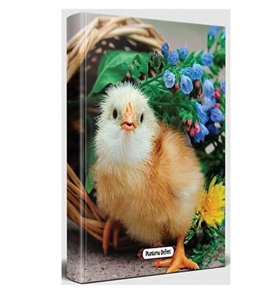 Halk Kitabevi Defter, Ajanda