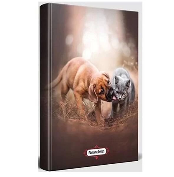 Halk Kitabevi Defter, Ajanda