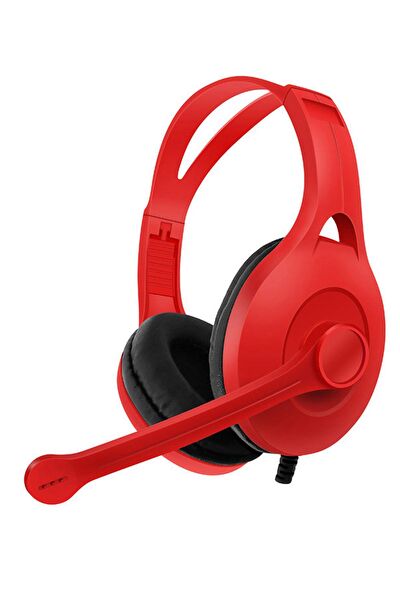 Tarzbu Bilgisayar Kulaklığı