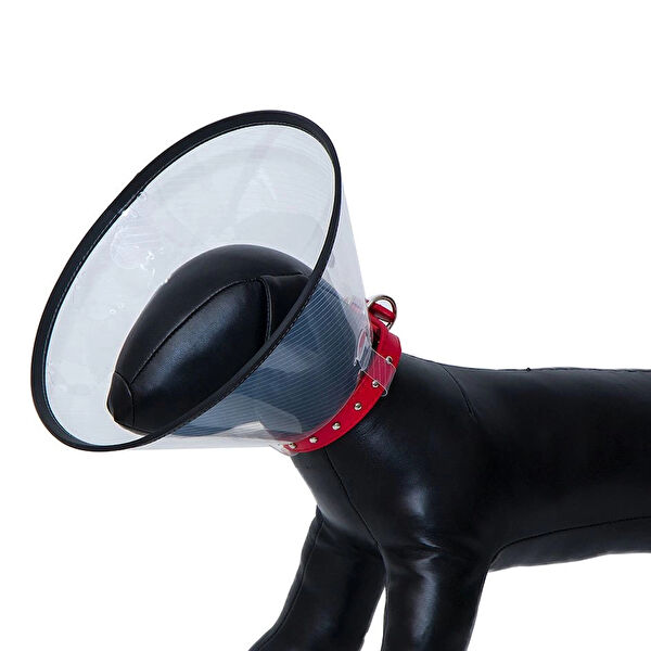 Elizabeth Köpek Sağlık & Bakım Malzemeleri