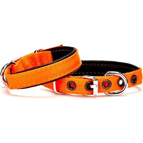 Doggie Köpek Tasmaları