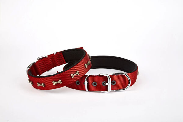 Doggie Köpek Tasmaları