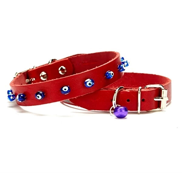 Doggie Kedi Tasmaları ve İsimlikler