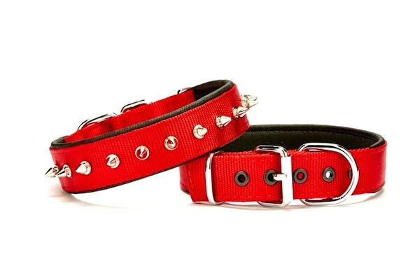 Doggie Köpek Tasmaları